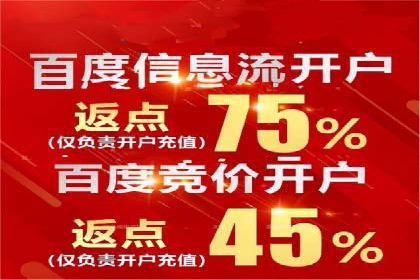 竞价托管与SEO结合的案例分析